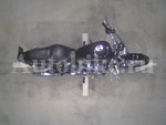     Harley Davidson XL883-I Sportster883 2008  3